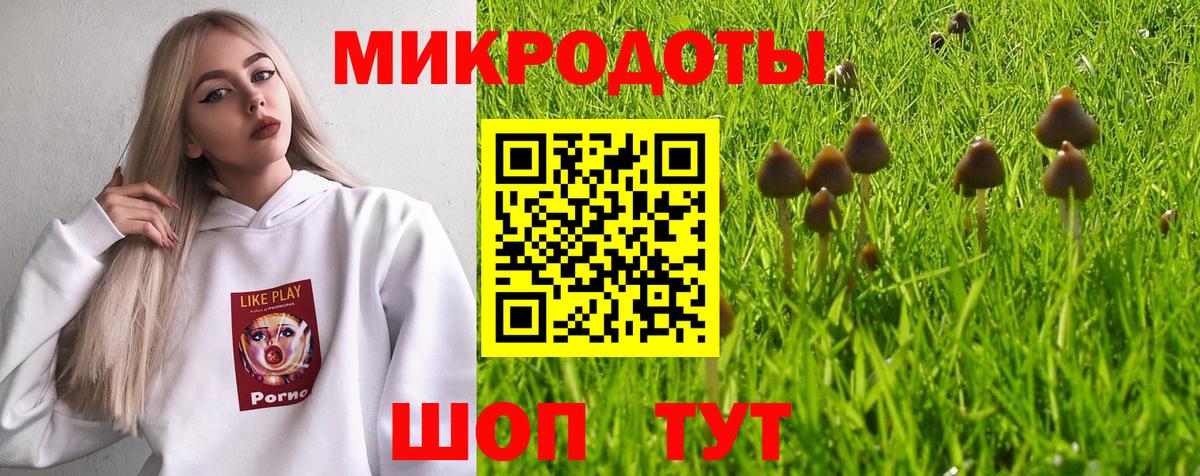Железноводск  Галлюциногенные грибы ЛСД  Псилоцибиновые грибы ЛСД  как найти закладки  Вход с VPN 