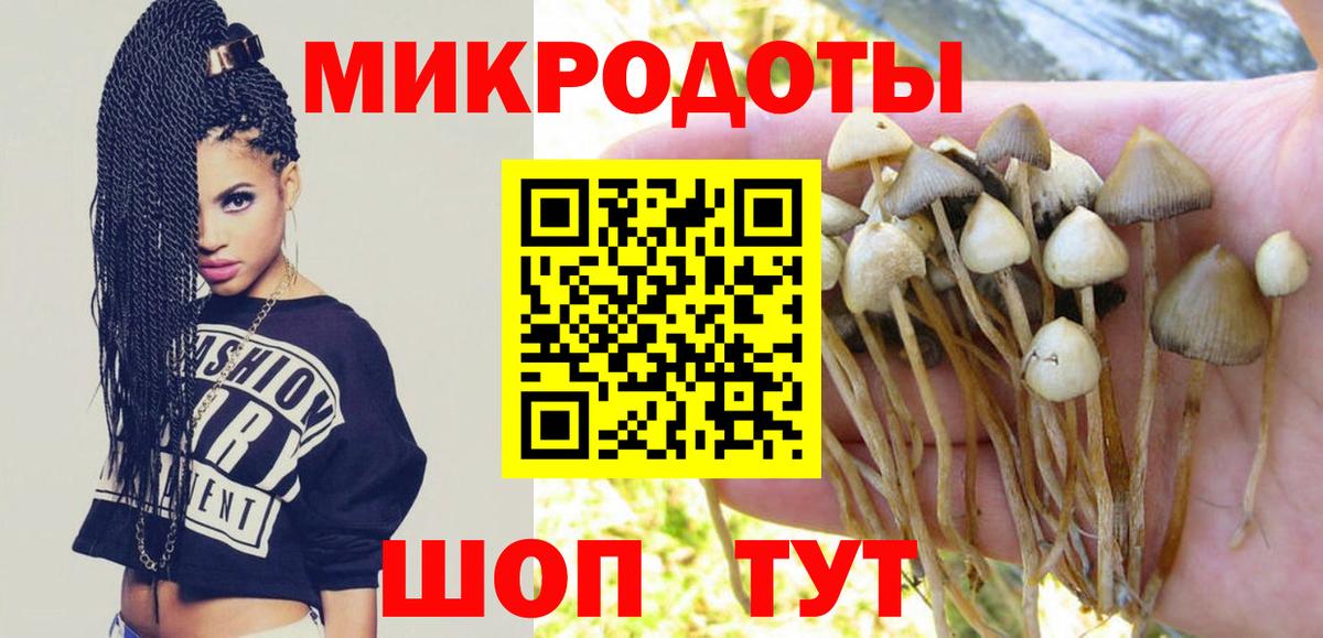 Псилоцибиновые грибы мухоморы Железноводск